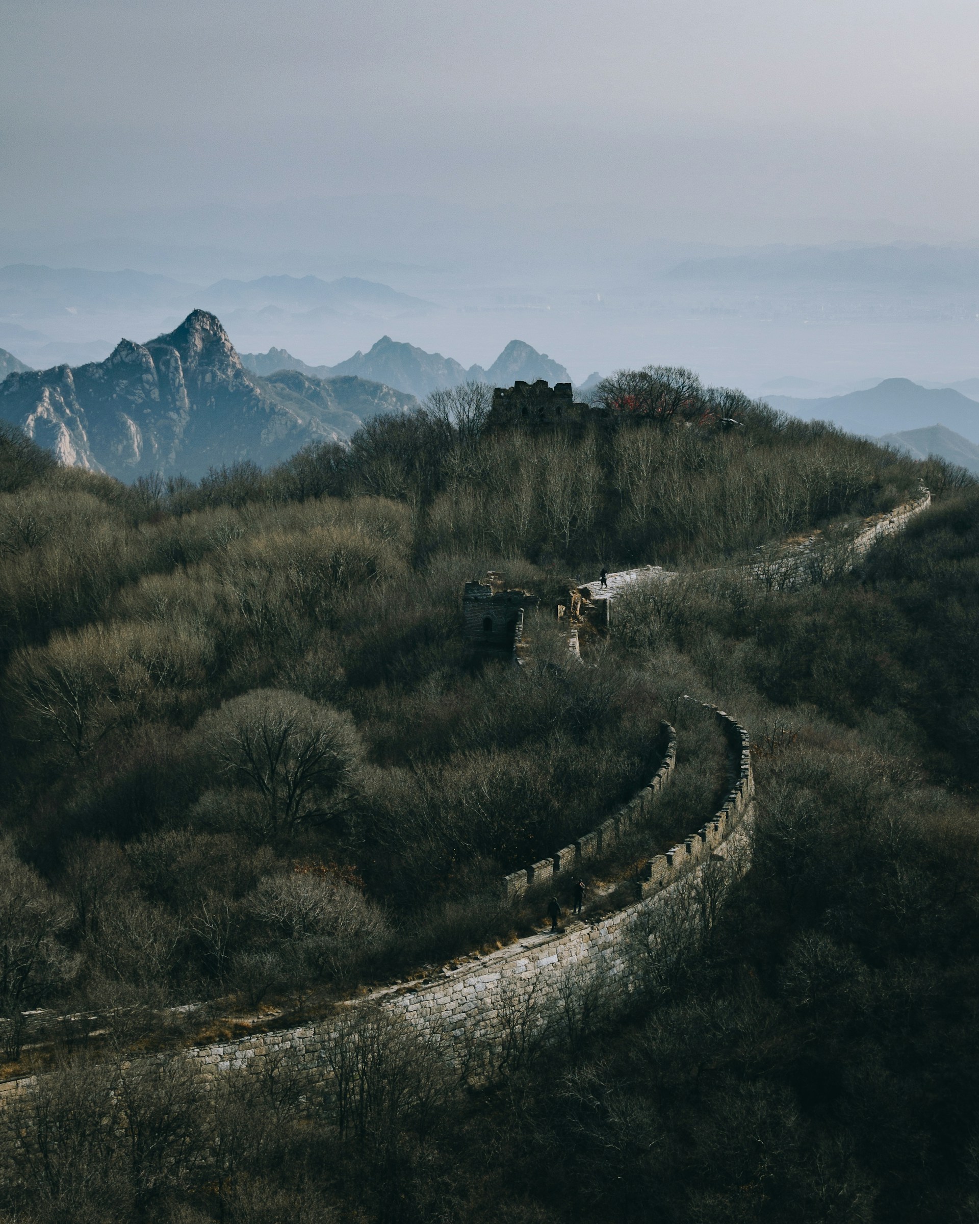 Aerial shot of  tall stone wall in disrepair cutting through lush forest vegetation. (Mutianyu Great Wall, China)