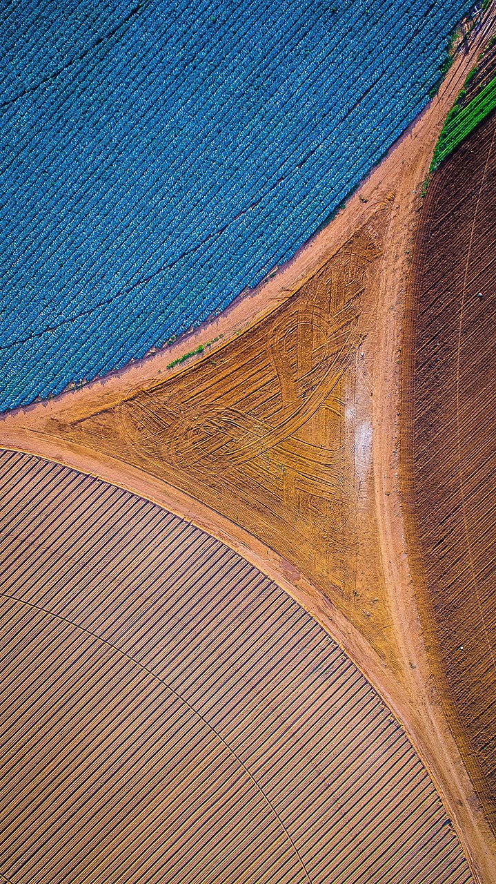 Aerial photo of the plce where three different agricultural crops meet. The crops are planted in circles, and the place where thy join forms a triangle with concave edges. The crops are all different colors. The circular tire track of the irrigation system is visible in the crops.