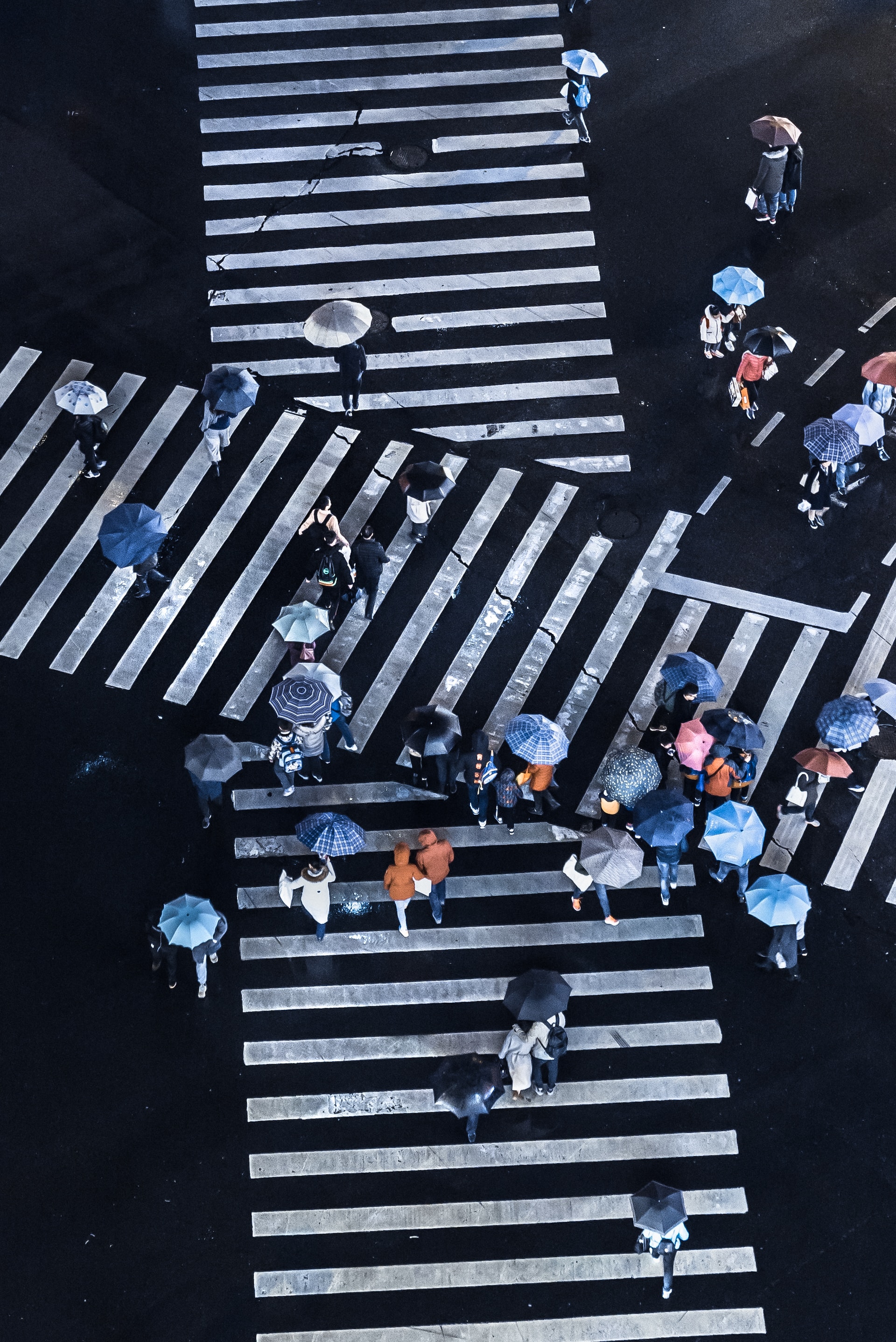 Aerial photo of two crosswalks intersecting at non-right angle. A small crowd of people are walking in various directions, all of them holding umbrellas