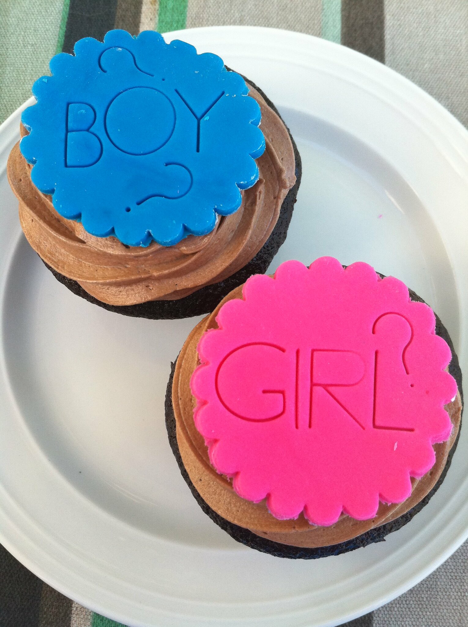 Closeup photo of two cupcakes. One is decored in blue with the word BOY, the other decorated in pink with the word GIRL.